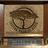 Phuture-T : The Eastern Promise Audio Radio Show Jungletrain.net 14-08-2015