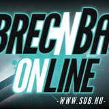 Debrec'N'Bass_24122014_flag