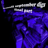 small september 2011 digs ; the attic, final part