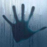 SIGHTING VI - Freedom to be Free -