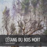 Jacques Plouchart - L'étang du bois mort - Radio Shalom Besançon - Tant qu'il y aura des livres
