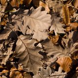 #Funkot Mix - November 2014
