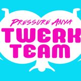 WinTwerk Mix 2013