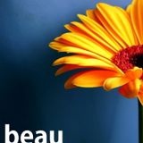 beauty