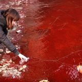 Dellamorte Presents The Best Of 2015 - Red