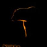 Classic House Mix