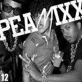 PEAMIXX 12 (Underground Hip Hop, Rap And X-Mess Soul - Mixed By PEABIRD, December 2015)
