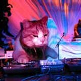 Jim Bassinger - Dubstep Minimix Oct '12