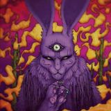 Acidum Rex - Psychedelic Maddness
