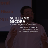 16 JUL 2014 - EJECUCIÓN PENAL CON GUILLERMO NICORA