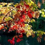 Groovotape Episode 1 : Autumn Flavour