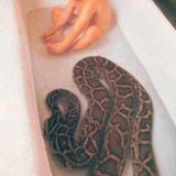 Snakes #25 - 06/04/12 - on RadioBasePopolare