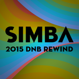 Simba - 2015 DNB REWIND