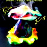 SUMMER SPECIAL Groove Criminals @ Köln-Niehl Scarletallee Dj Set GoA JUNG 30 juni 2013