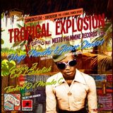 Palmwine Explosion in Boolomix Show