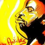 Cool & Funky - The Ronny Jordan Tribute (Only vinyl)