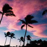 Finest Sunset