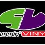 Randall with Stevie Hyper D & Fearless Slammin' Vinyl Bagleys 5th September 1997