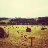 Harvest 01