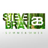Steve Brian - Summer '14 Mix