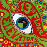 The 13th Floor Elevators :