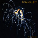 Traumw3lt