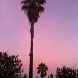 Sweet Dreams (2005 mix)