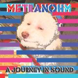 A Journey In Sound