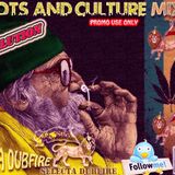 Selecta Dubfire Roots And Culture Mixx CD 2013