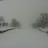 Iola's Sub-Zero Spin