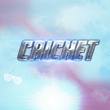 Cricket 4º Set