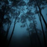 Through the Darker Places