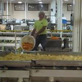 Potato Factory Mix, Vol. 2: Attack of the Starch