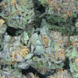 WEED RAP