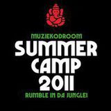 Primate - Summer Camp 2011 Artist mix
