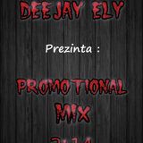 DJ ELy - Promotional Mix 2k14