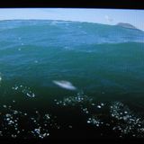 SP1013 || EPISODE TWO || Mt. Maunganui, New Zealand - Lower Bar Collective