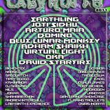 Live at the Labyrinth @ Shambhala Music Festival 2011