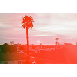Reverberation #79