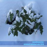 netlabel minimal mix 2010