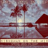 CISKOMAN ON THE MIX - SPRING 2015 IN DEEP