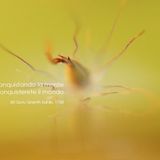 A qualcuno Piace Verde - Yoga Coaching