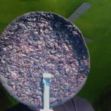 Burned pizza