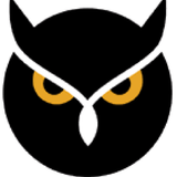 Night Owl Outlook Festival Mix