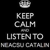 Neacsu Catalin @ Welcome to my private party ( House Mix 2013 )
