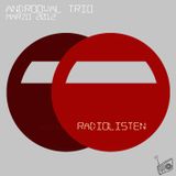 Radiolisten_014-Androoval Trio-March-2012