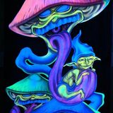 Ferratek - Warromaja artist dj set