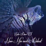 SOLAR DANCE VI - Nave Mãe meets Dubout