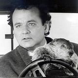 Dia de La Marmota 01/02/2015