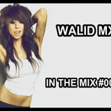 Walid Mx - In The Mix #005